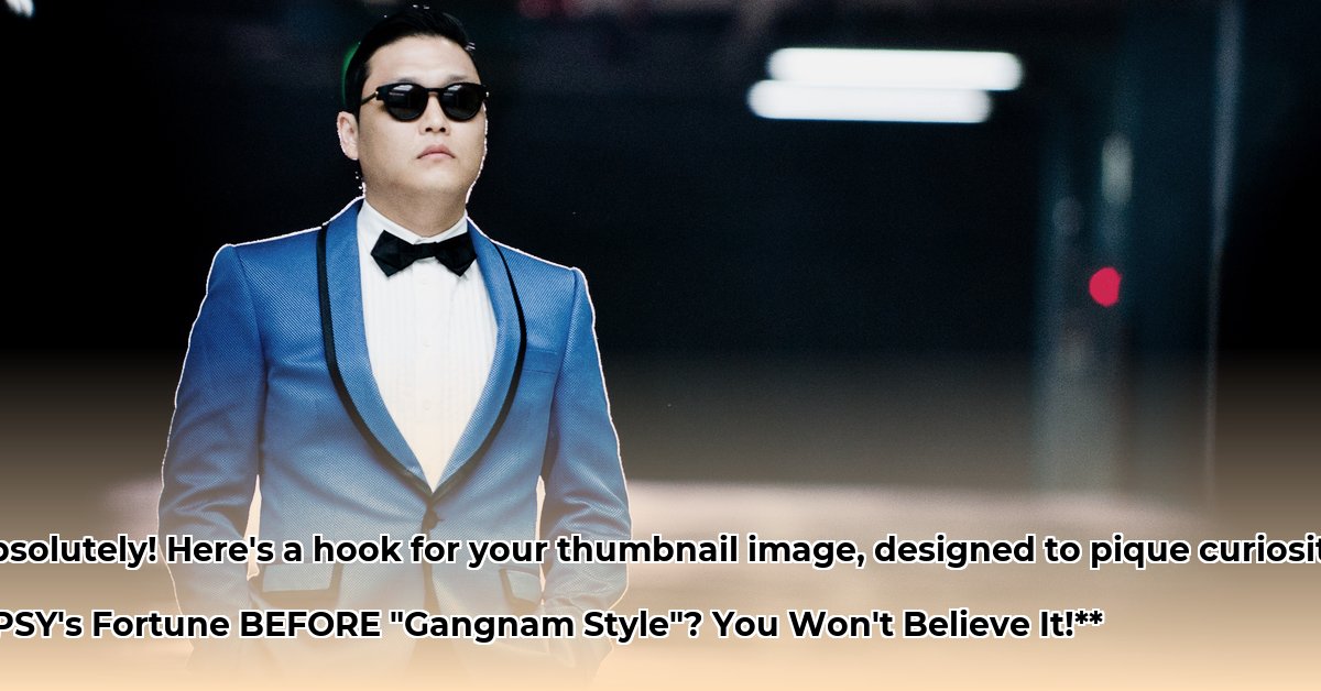 psy-net-worth-before-gangnam-style